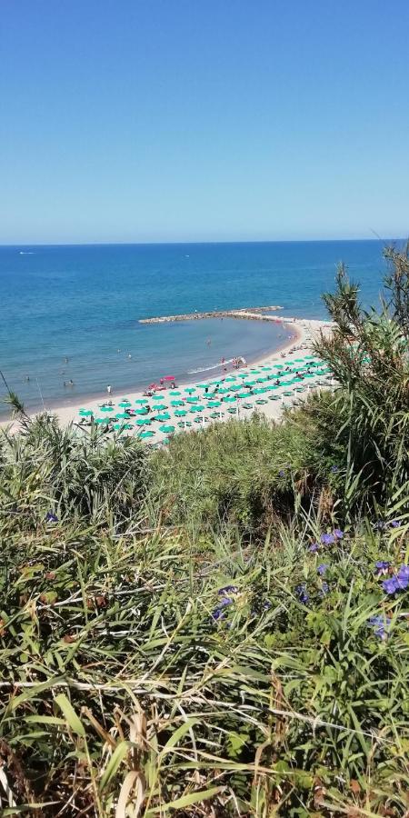 Villa Giuliana Stanze Con Bagno Interno In Villa A 350 Mt Spiaggia Libera Lido Delle Sirene Anzio Luaran gambar