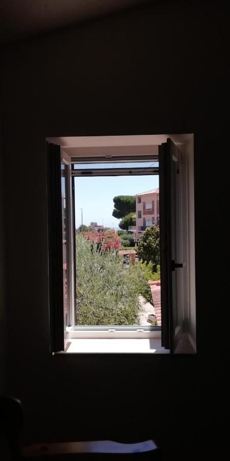 Villa Giuliana Stanze Con Bagno Interno In Villa A 350 Mt Spiaggia Libera Lido Delle Sirene Anzio Luaran gambar