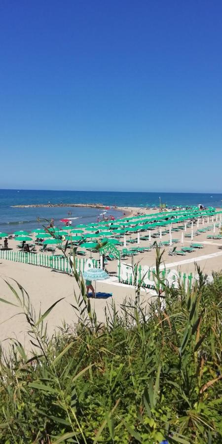 Villa Giuliana Stanze Con Bagno Interno In Villa A 350 Mt Spiaggia Libera Lido Delle Sirene Anzio Luaran gambar
