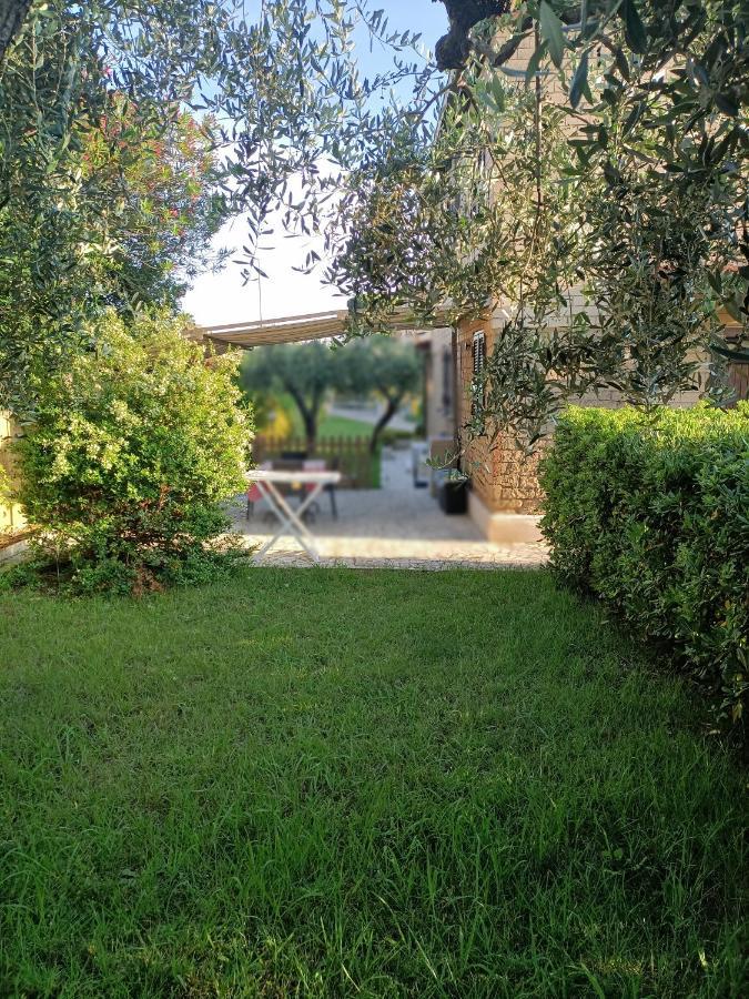 Villa Giuliana Stanze Con Bagno Interno In Villa A 350 Mt Spiaggia Libera Lido Delle Sirene Anzio Luaran gambar